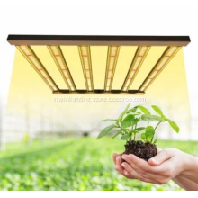 Modern design LED plant light